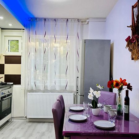 Joy City Stay Spacious Comfortable Timişoara Eksteriør bilde