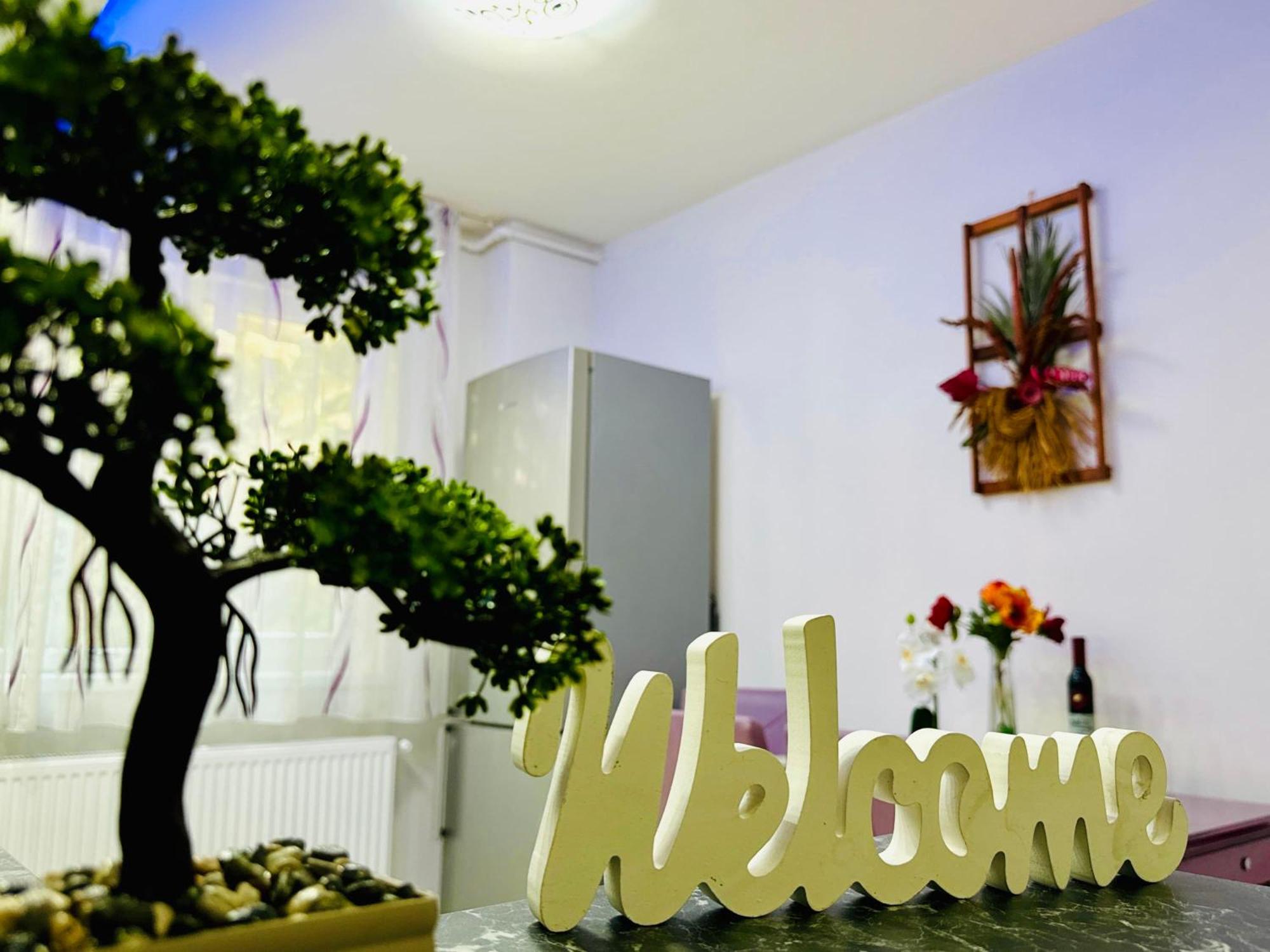 Joy City Stay Spacious Comfortable Timişoara Eksteriør bilde