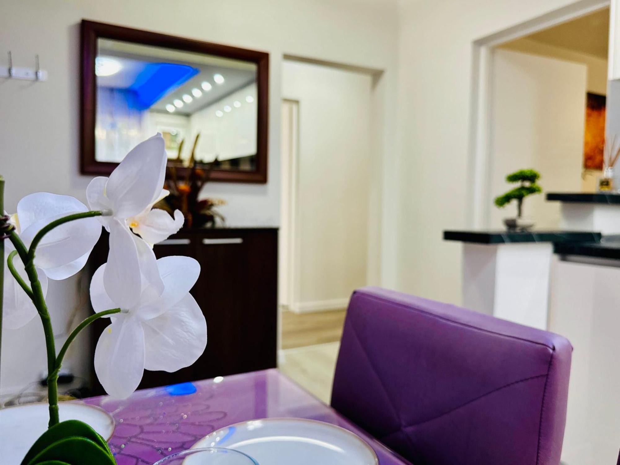 Joy City Stay Spacious Comfortable Timişoara Eksteriør bilde