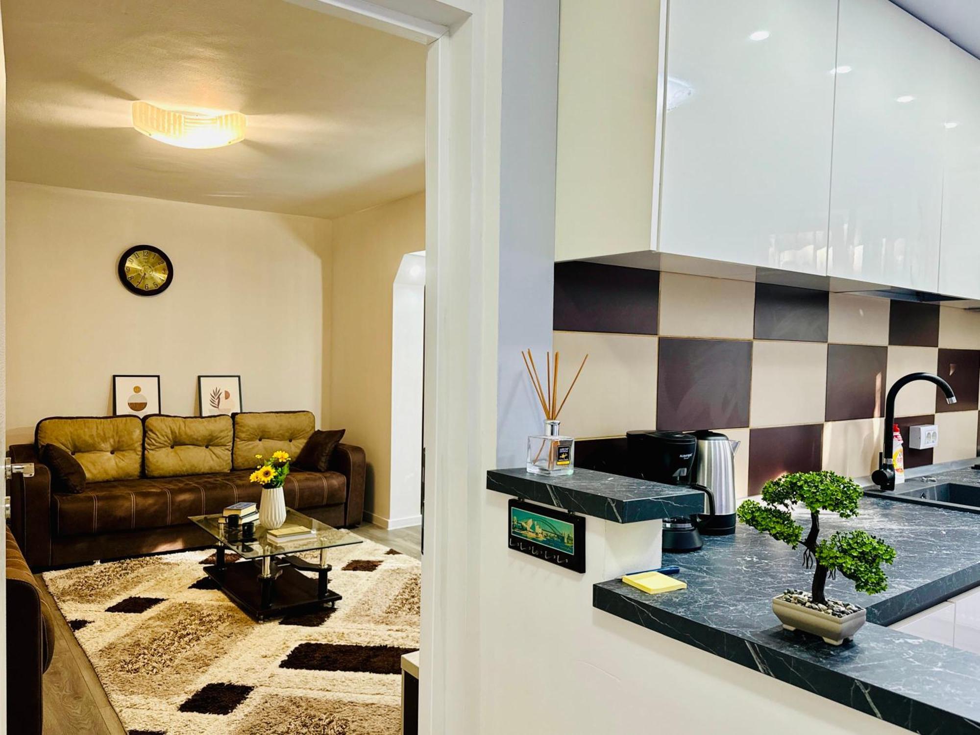 Joy City Stay Spacious Comfortable Timişoara Eksteriør bilde